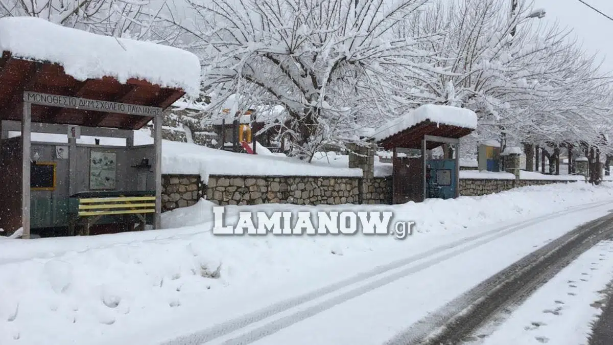 https://lamianow.gr/wp-content/uploads/2024/03/Iamia-Now-01-1-2-1-scaled.jpg