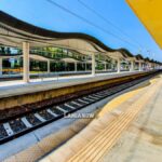 σσ λιανοκλαδιου 38