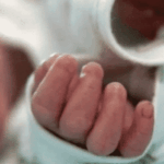 τραγοδια φασολι