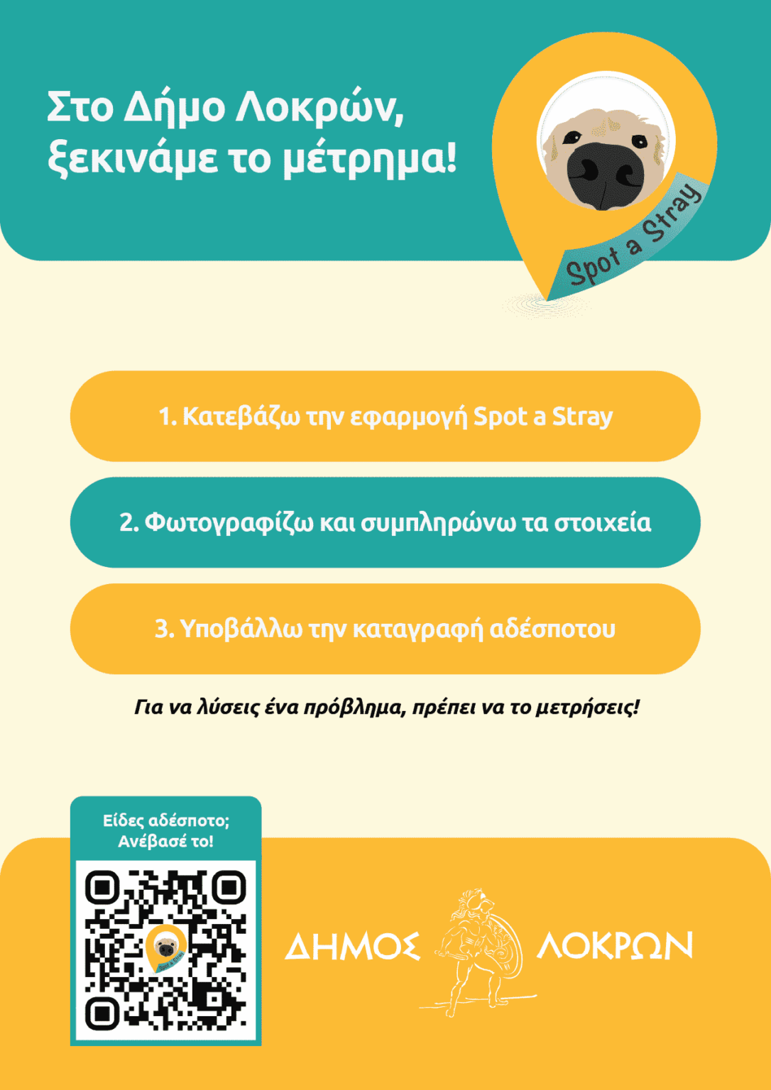 Αφίσα Spot a Stray