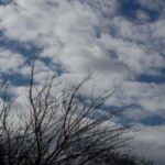 μαυρολιθάρι