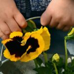 νηπιαγωγειο