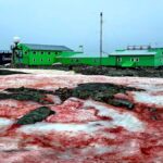 ματωμενοχιονι