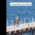 ντολι αγια μαρινα