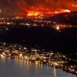 ελαιωνασφωτια