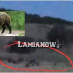 InCollage 20220804 185412168 scaled