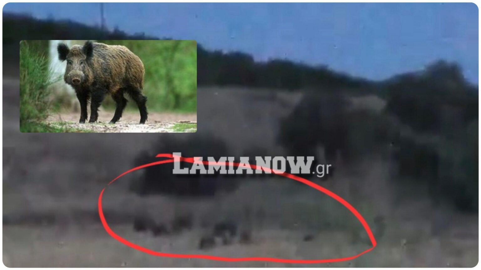 InCollage 20220804 185412168 scaled