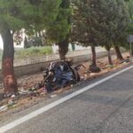 οραφοκιδας