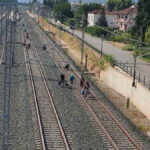 τρενο αγελάδα