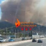 φνεαπεραμος