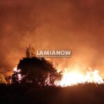 φωτια μαρτινο 4