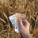 47d574df dd1f 4880 a39f 593bf17df7fd