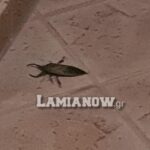 IMG 48773e8b26fa818518daedd0b152517f V 1 1