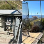 InCollage 20220925 215923597