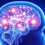 alzheimers disease presenilin protein 1