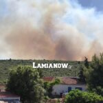 cf0eda3d 337e 4701 9b1a 23131d619aee