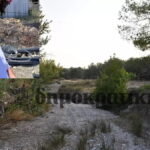 rodoserg