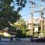 δεντρακεφαλια