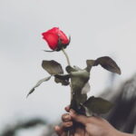 τριανταφιλο