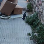 εικόνα Viber 2023 01 09 19 39 26 820