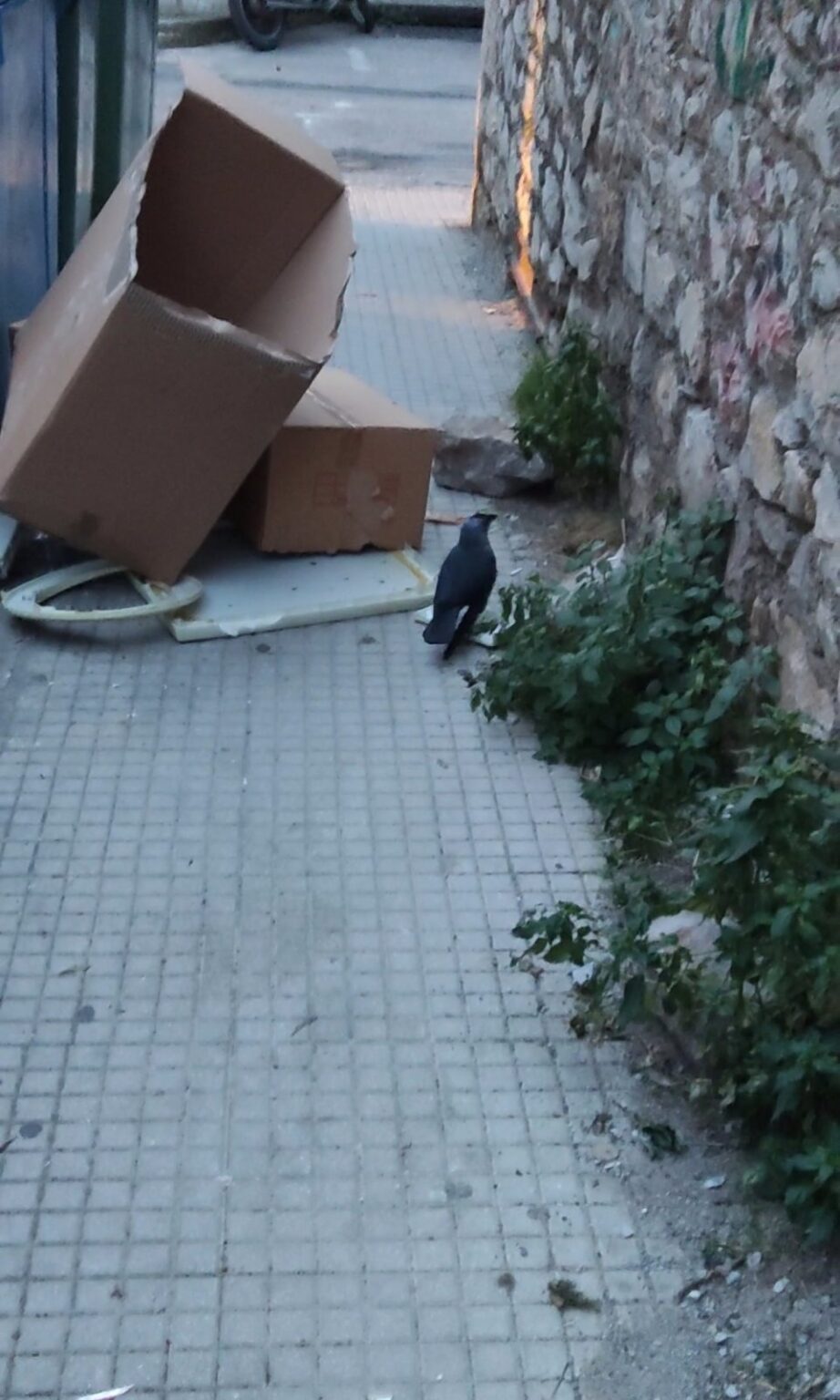 εικόνα Viber 2023 01 09 19 39 26 820