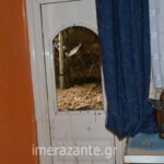 ζαντεσπιτι