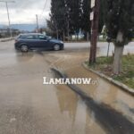 IMG 20230210 171110 scaled