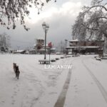 μαυρολιθαρι1 1 1