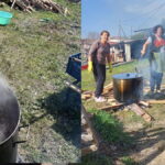 προβατινννννα