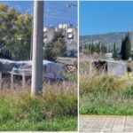 InCollage 20230319 153148781