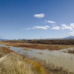 Εικόνα Σπερχειός 1