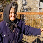 γιαγιααφροδιτη