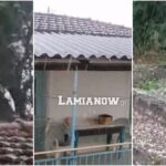 InCollage 20230422 155244252 scaled