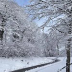 γραμμμενη οξυα βιντεο σταγια