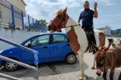 , Αγρότης με&#8230; άλογο και γαϊδούρι σε εκλογικό κέντρο στο Ναύπλιο