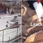 BeFunky collage 7 scaled