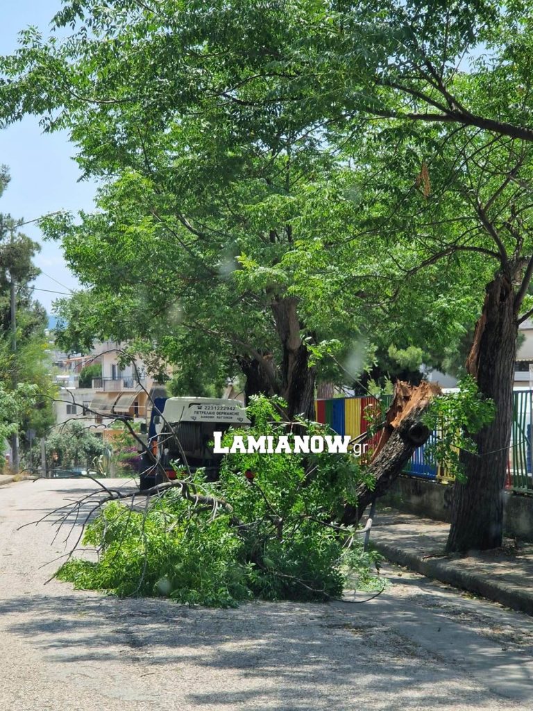 ακακια2 38