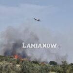 20230726 153725 scaled