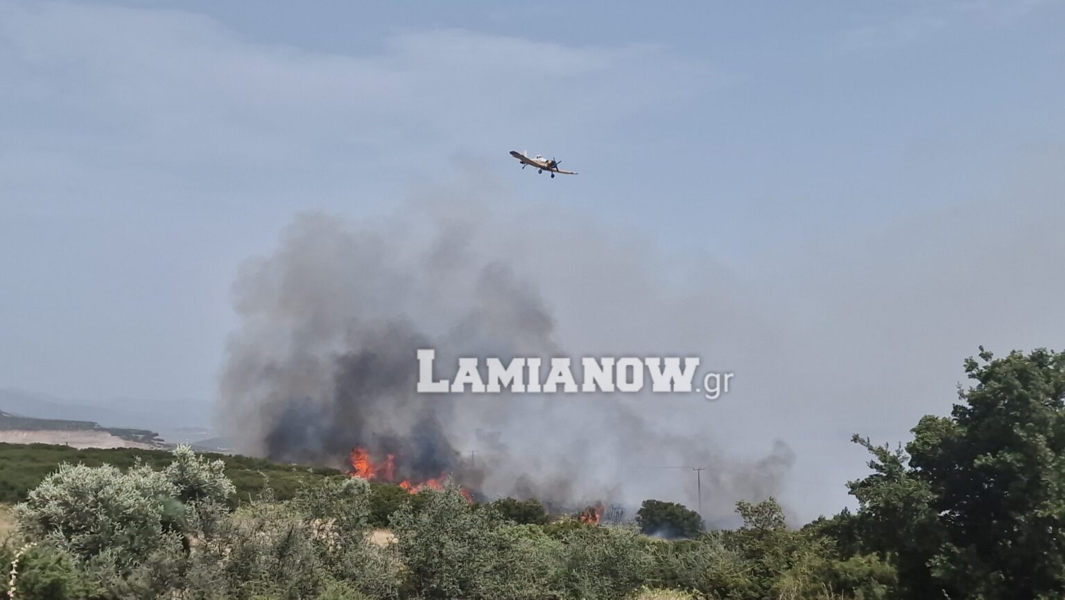 20230726 153725 scaled