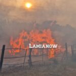 20230726 1850031 scaled