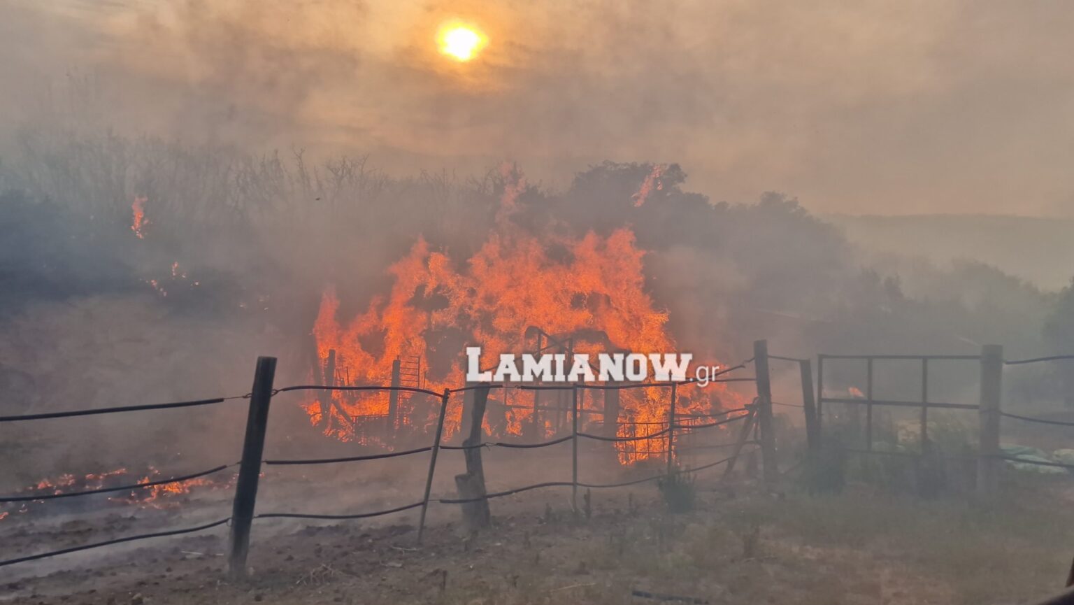 20230726 1850031 scaled