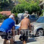 ευβοια ψαθας