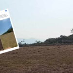 παπαναγνου