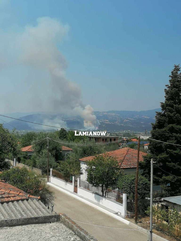 , Φθιώτιδα : Φωτιά δίπλα στην Μακρακώμη (φώτο-βίντεο)