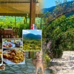 ΚΛΑΥΣΙ ΕΥΡΥΤΑΝΙΑΣ