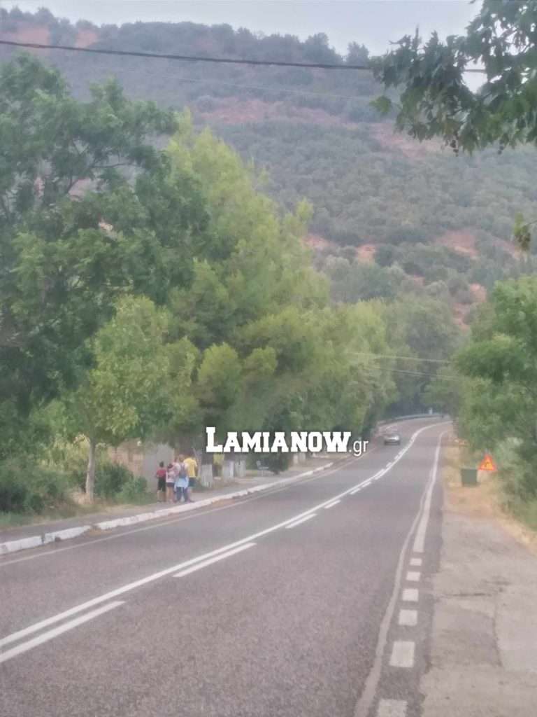 βιτολι134
