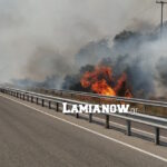 διπλα στην εθνικη