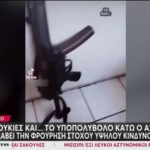 κοτομπουκιες