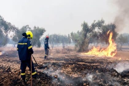 , Εύβοια: Δύο χρόνια μετά τις φωτιές ζουν με τον καμένο αμίαντο