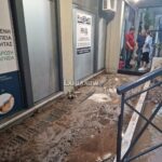 εικόνα Viber 2023 09 06 19 55 21 172